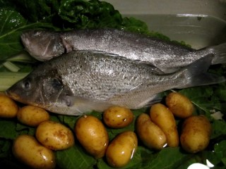 Garlic House produce for dinner. Fish caught by us at Quora Mouth